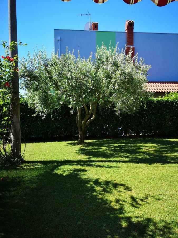 Apartman Olga Umag Exterior foto